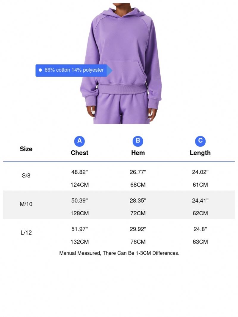 Outdoor Fashion Pullover Hooded Eu Us Casual Loose Sports Clothes Autumn And Winter Warm Pockets Long Sleeved Sweater Women